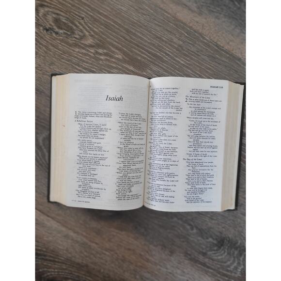 The Holy Bible‎ New International Version New and Old Testament Book #4 - Picture 5 of 6